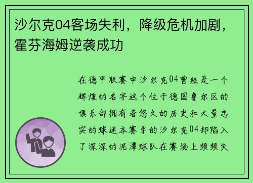 沙尔克04客场失利，降级危机加剧，霍芬海姆逆袭成功